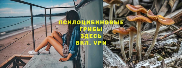 соль курить ск Аркадак
